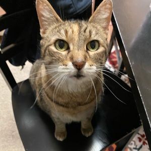 Meet your Posher, Maryisabel